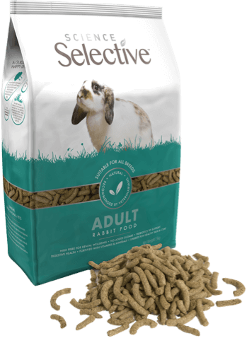 science-selective-adult-rabbit-side-food