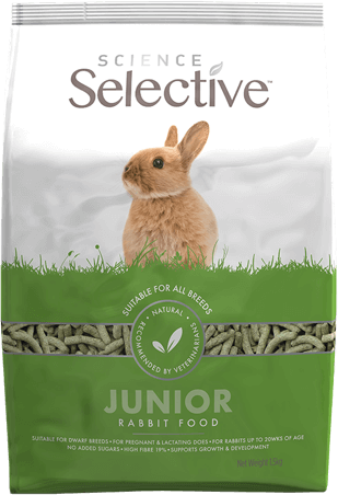 ss-rabbit-junior-food-front